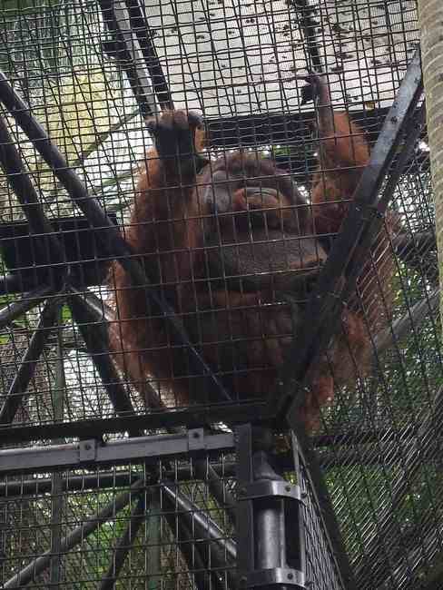 n_HongKong mei 2008 026.jpg